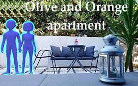 Olive And Orange Apartment